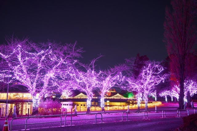 【15時から利用可】イルミネーション入園券 - 東武動物公園