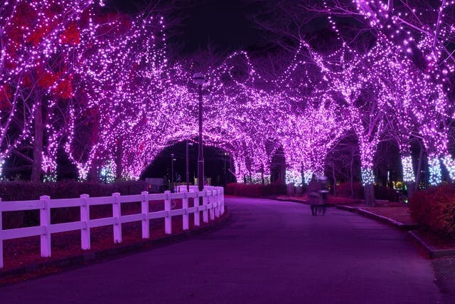 【15時から利用可】イルミネーション入園券 - 東武動物公園