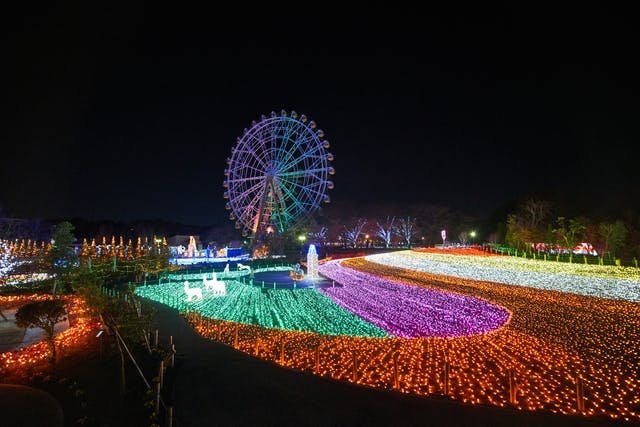 15時から利用可】イルミネーション入園券｜アソビュー！