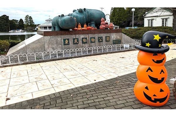 東武動物公園 15時から利用可】日付指定 ナイト入園券｜アソビュー！