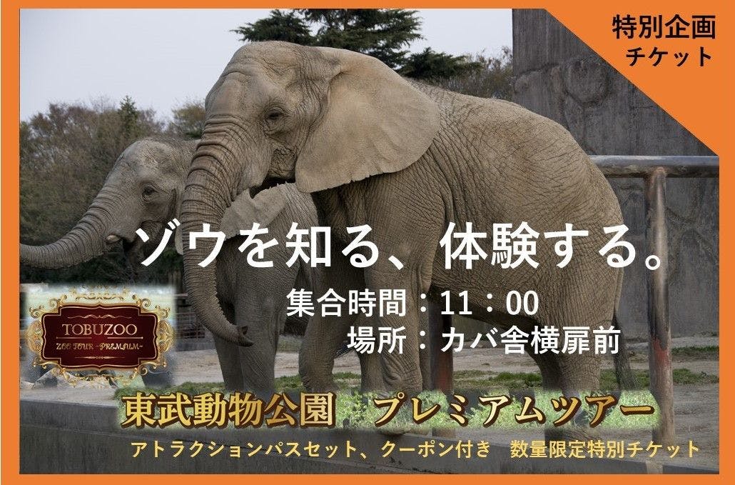 アトラクションパス付きZOOプレミアムチケット（12月28日分）