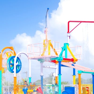 蓮沼ウォーターガーデン事前予約チケット アソビュー 蓮沼ウォーターガーデン事前予約チケット アソビュー