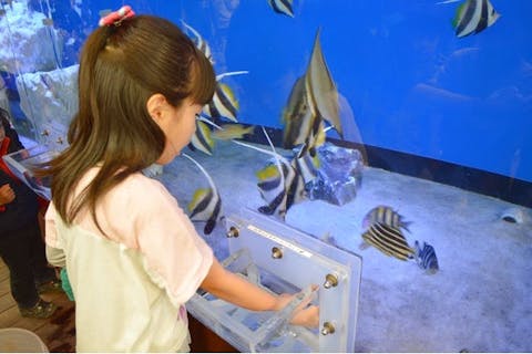 【スムーズに入園できる！】南知多ビーチランド＆南知多おもちゃ王国　入園券