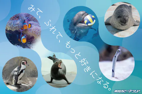 【スムーズに入園できる！】南知多ビーチランド＆南知多おもちゃ王国　入園券