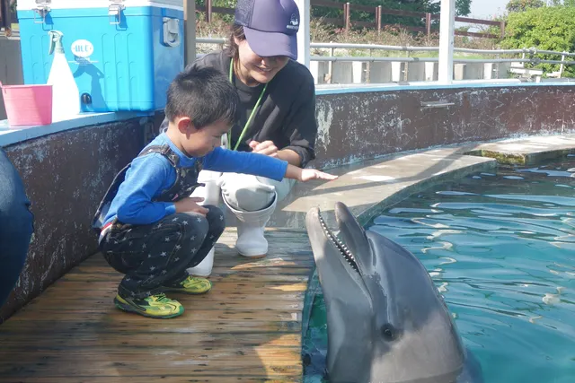南知多ビーチランド 南知多おもちゃ王国のチケット購入 予約