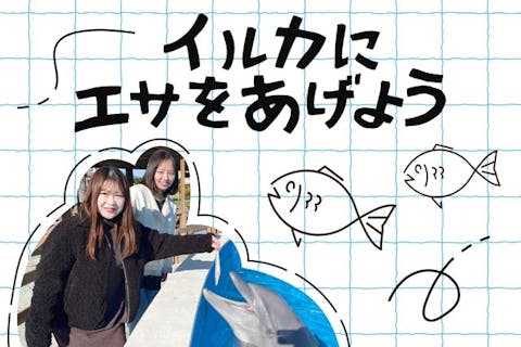 南知多ビーチランド【イルカにエサをあげよう】※別途入園料必要
