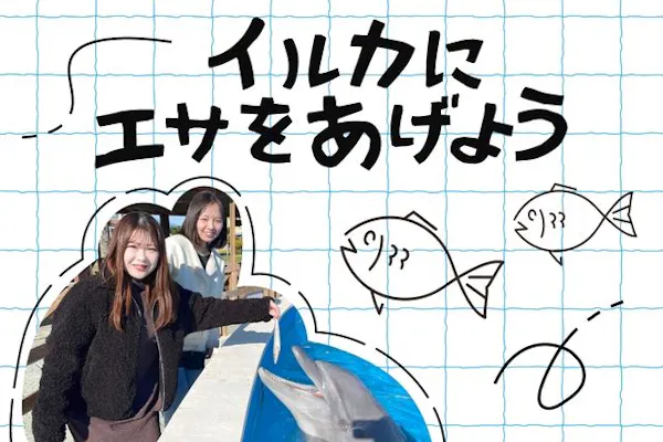 南知多ビーチランド【イルカにエサをあげよう】※別途入園料必要