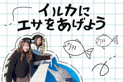 名古屋港水族館　南知多ビーチランド　スピードくじ　特賞　激レア 名古屋港水族館 南知多ビーチランド スピードくじ 特賞 激レア 名古屋