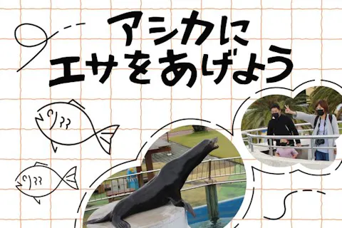 南知多ビーチランド【アシカにエサをあげよう】※別途入園料必要