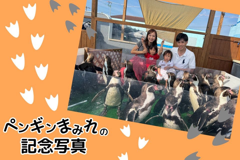 ペンギンまみれの記念写真