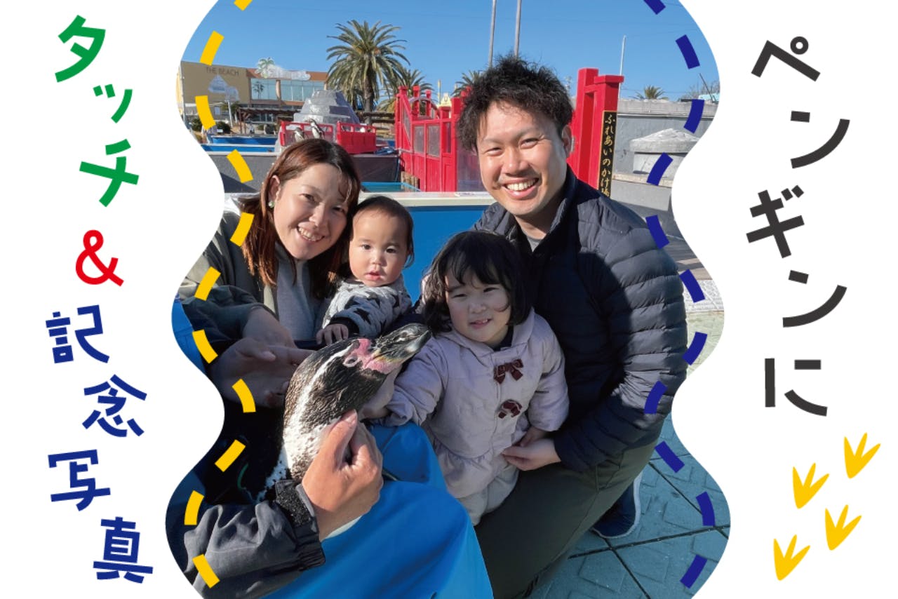 南知多ビーチランド【ペンギンにタッチ＆記念写真】※別途入園料必要