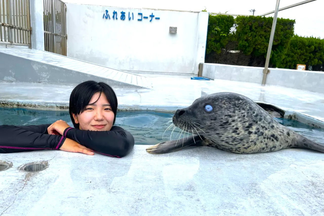 事前WEB予約制】プールの中でアザラシを抱っこ※入園料込み - 南知多