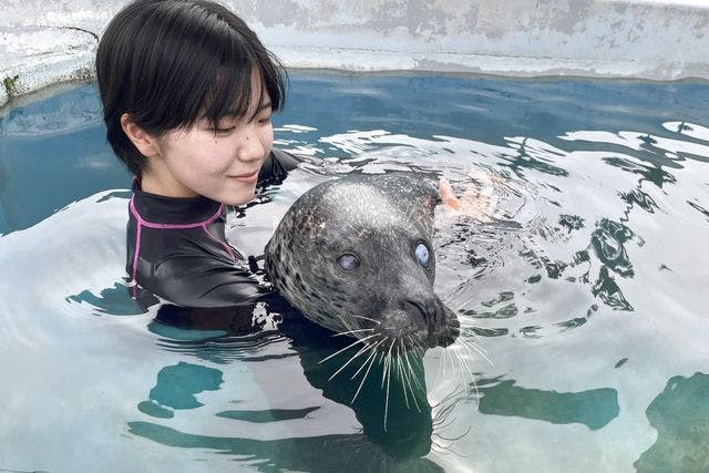 事前WEB予約制】プールの中でアザラシを抱っこ※入園料込み - 南知多