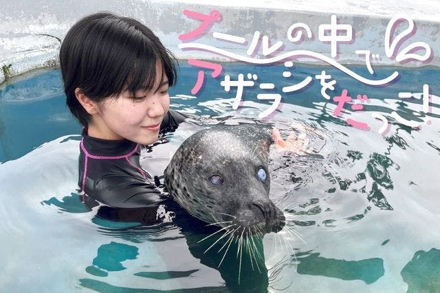 【事前WEB予約制】プールの中でアザラシを抱っこ※入園料込み
