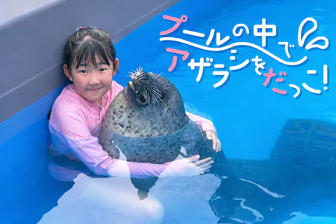 【事前WEB予約制】プールの中でアザラシを抱っこ※入園料込み