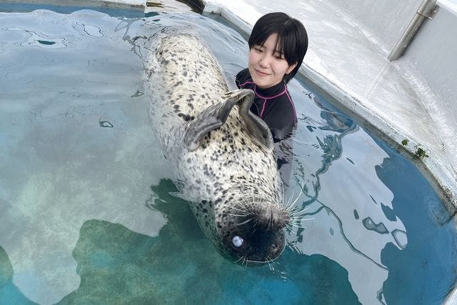 事前WEB予約制】プールの中でアザラシを抱っこ※入園料込み - 南知多