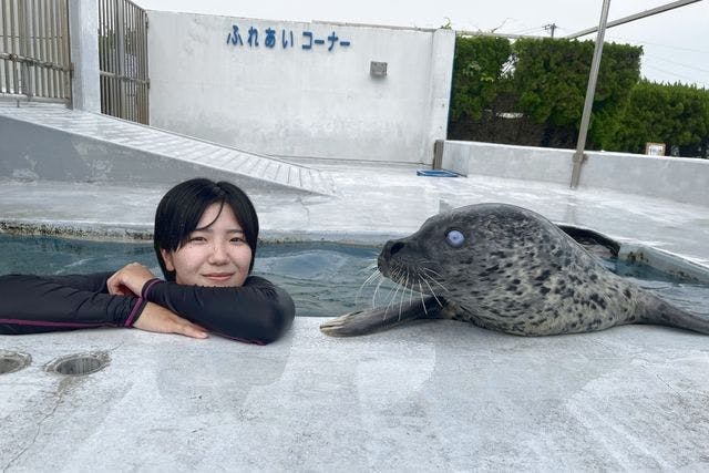 事前WEB予約制】プールの中でアザラシを抱っこ※入園料込み - 南知多