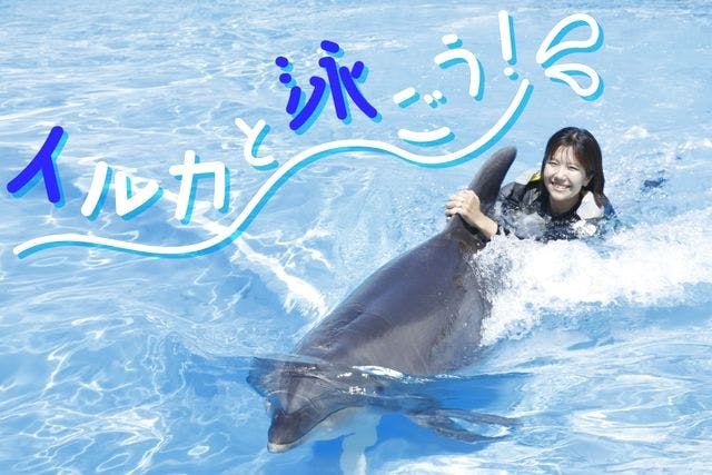 事前予約制】イルカと泳ごう※入園料込み - 南知多ビーチランド＆南知多