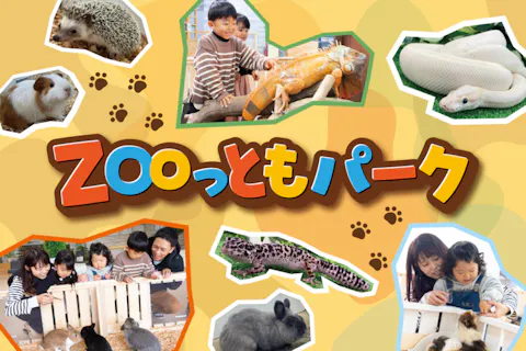 南知多ビーチランド＆南知多おもちゃ王国入園券＋ZOOっともパーク入館セット券