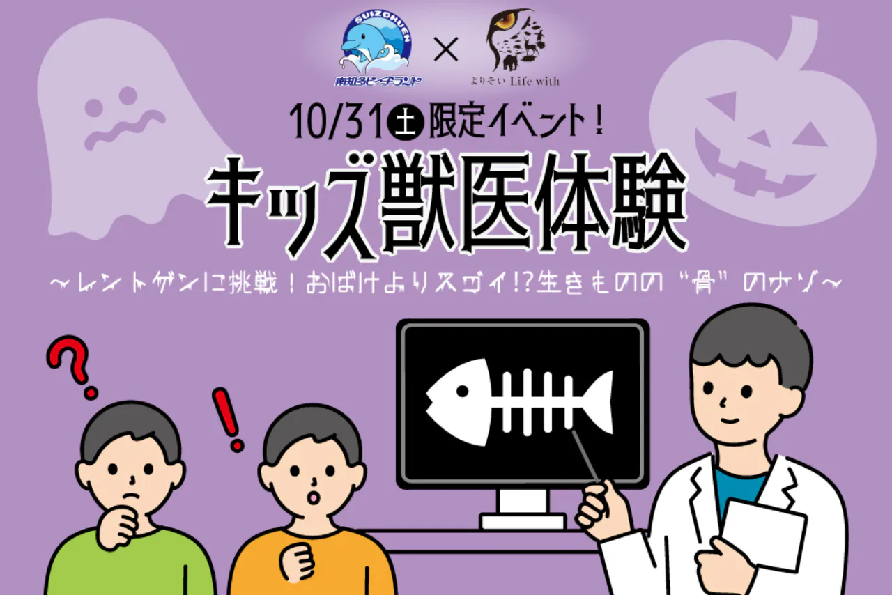南知多ビーチランド＆南知多おもちゃ王国入園＋キッズ獣医体験券