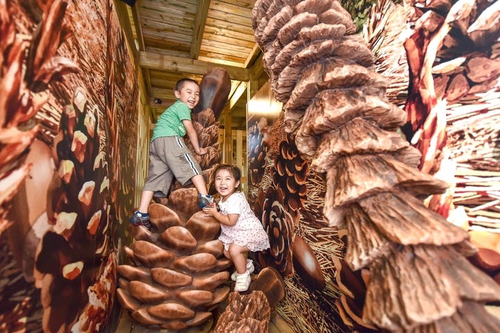 モビリティリゾートもてぎ