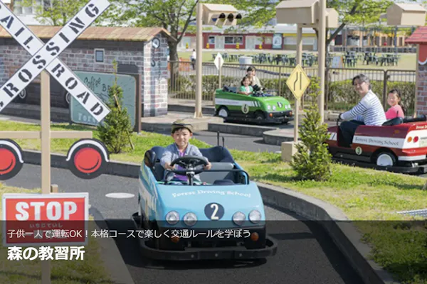 モビリティリゾートもてぎ　フリーパス引換券（大人２名＋子ども２名＋駐車券） モビリティリゾートもてぎのチケット購入・予約
