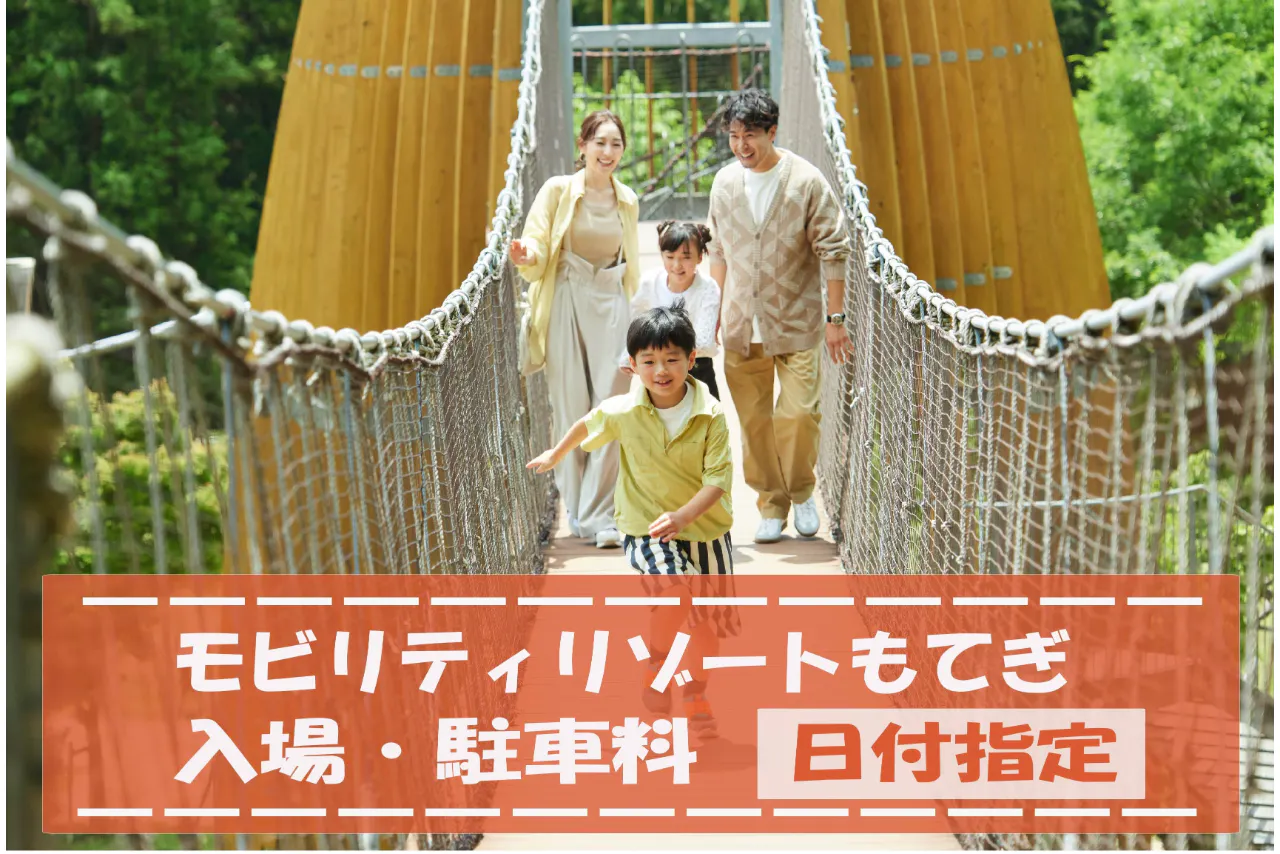 入場券・駐車券（入場券と駐車券は別券です）　※レース・花火を除く