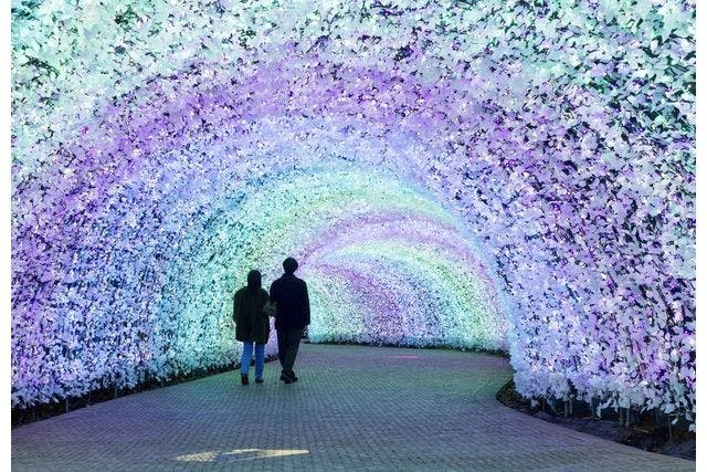 クリスマス特別営業 12/23・24・25日付指定】なばなの里 入村券（金券