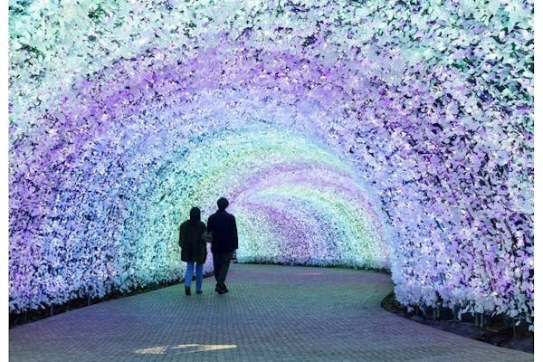 クリスマス特別営業 12/23・24・25日付指定】なばなの里 入村券（金券