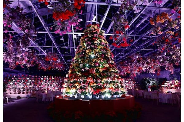 12月25日☆なばなの里クリスマス特別営業チケット クリスマス特別営業 12/23・24・25日付指定】なばなの里 入村券（金券