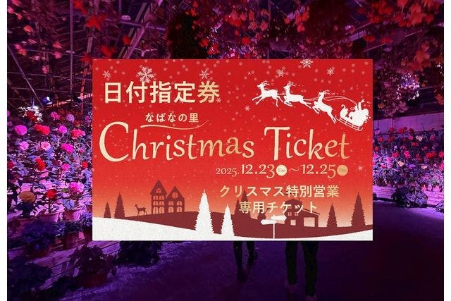 【クリスマス特別営業 12/23・24・25日付指定】なばなの里 入村券（金券2000円付）現地引換