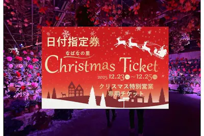 クリスマス特別営業 12/23・24・25日付指定】なばなの里 入村券（金券