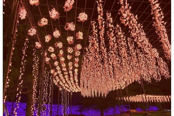 クリスマス特別営業 12/23・24・25日付指定】なばなの里 入村券（金券