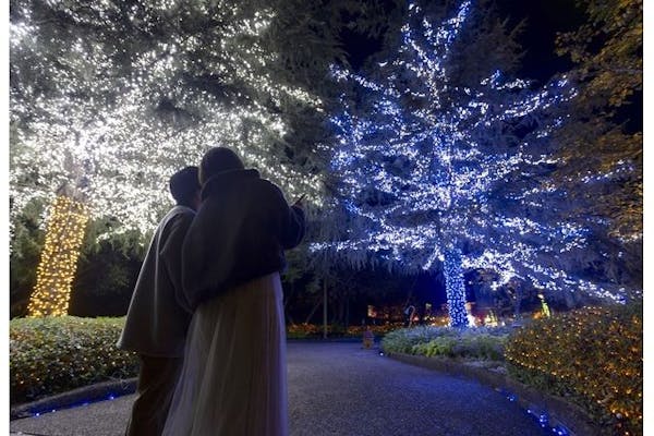 クリスマス特別営業 12/23・24・25日付指定】なばなの里 入村券（金券