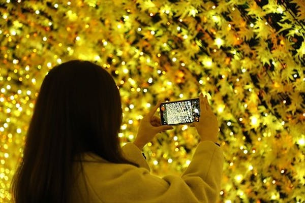 クリスマス特別営業 12/23・24・25日付指定】なばなの里 入村券(金券