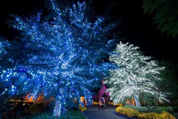 クリスマス特別営業 12/23・24・25日付指定】なばなの里 入村券(金券
