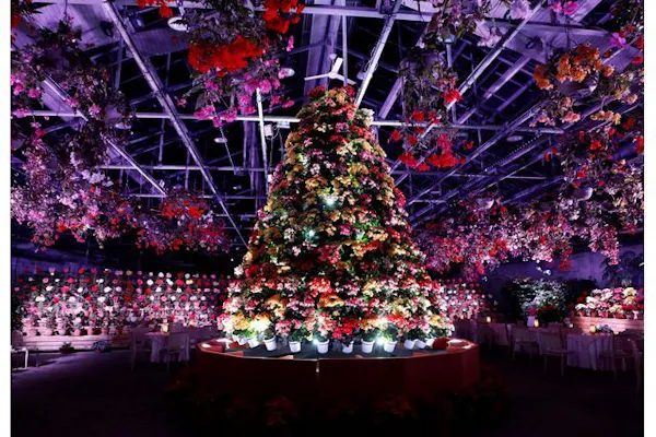 なばなの里クリスマス限定チケット(12/23 日付指定)+4000円商品券付 なばなの里クリスマス限定チケット(12/23 日付指定)+4000円商品券付