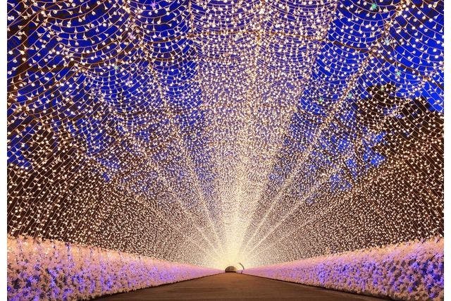 クリスマス特別営業 12/23・24・25日付指定】なばなの里 入村券（金券