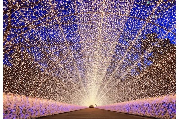 クリスマス特別営業 12/23・24・25日付指定】なばなの里 入村券（金券