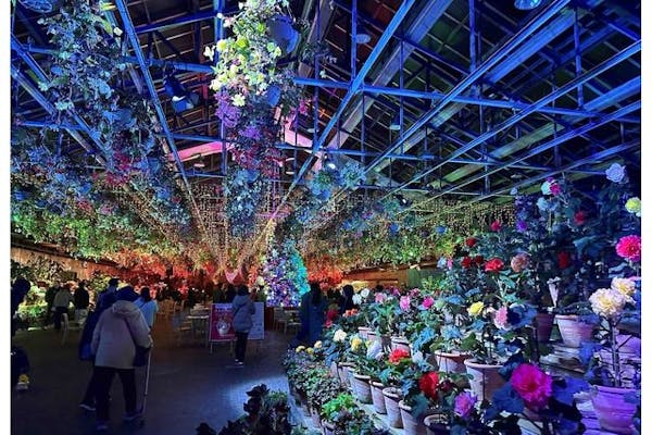 クリスマス特別営業 12/23・24・25日付指定】なばなの里 入村券（金券