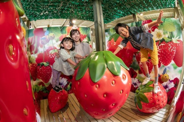 鈴鹿サーキット パーク 年間パスポート（入園+アトラクション乗り放題