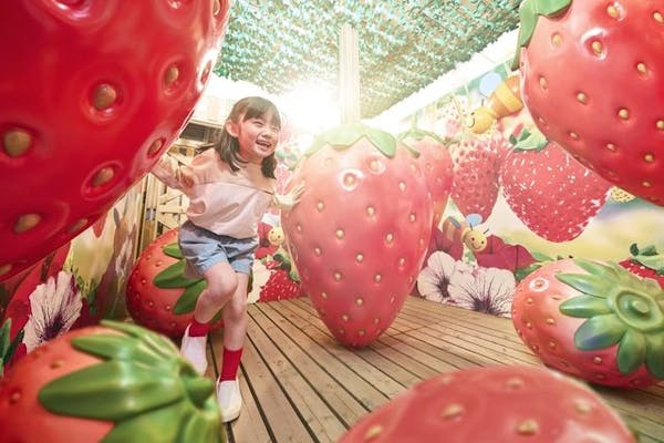 鈴鹿サーキット パーク1デーパスポート（入園＋アトラクション乗り放題