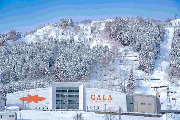 ガーラ湯沢 GALA YUZAWA 1 Day チケット 2枚 スキー場