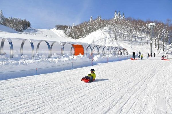 GALA湯沢スキー場　1日券　2枚 GALA湯沢スキー場 平日リフト券2枚