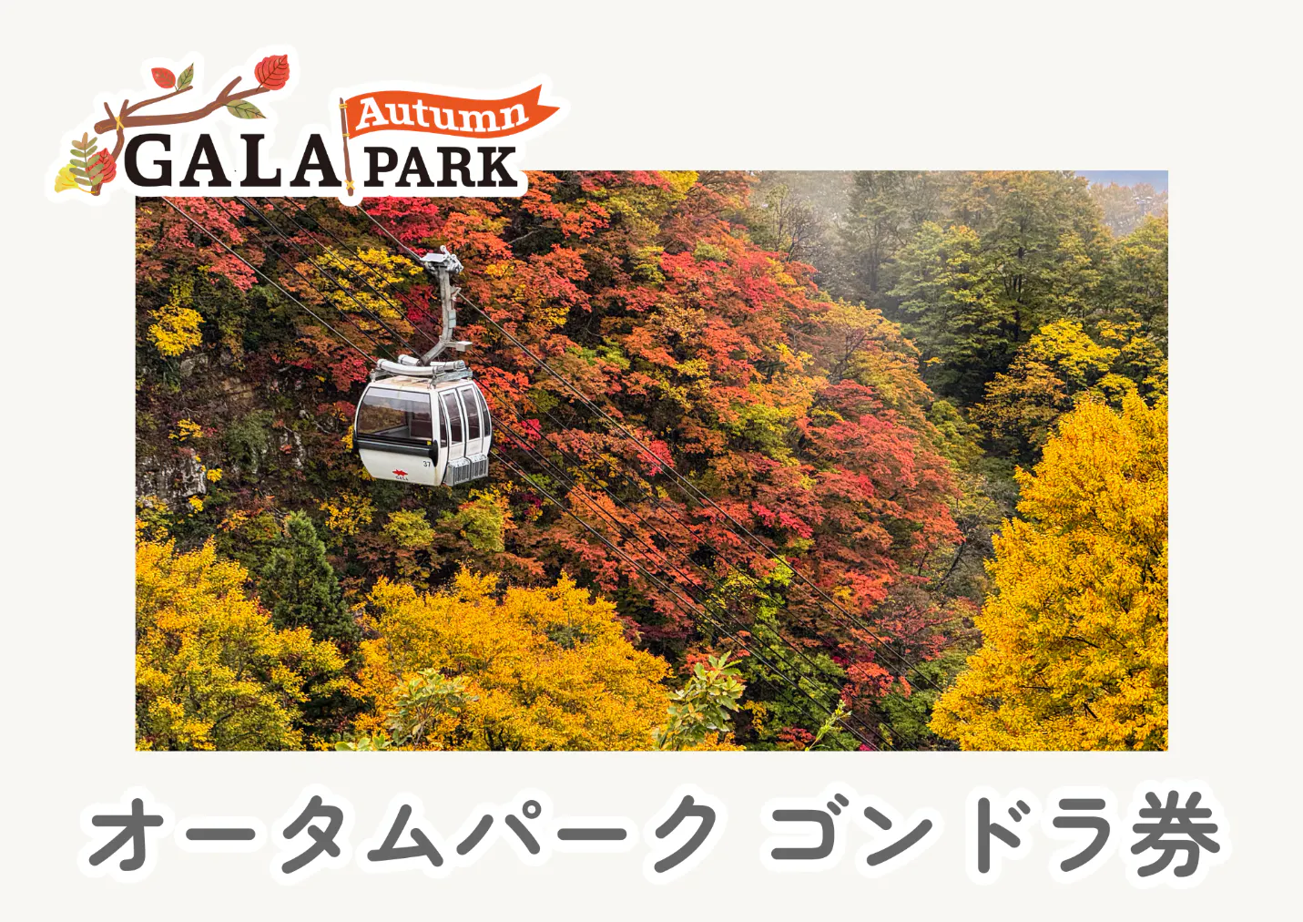【購入日から翌日以降に利用可能】GALAオータムパークゴンドラ券