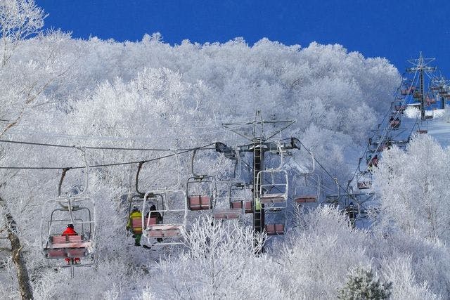 車山高原SKYPARKスキー場 前売２日リフト券 - 車山高原SKYPARKスキー場