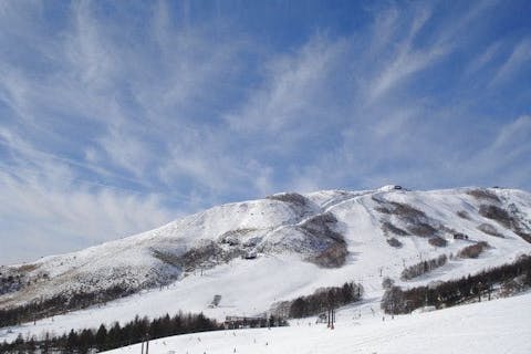 蓼科・白樺湖・車山・女神湖・姫木平の体験・遊び場 おすすめスポット
