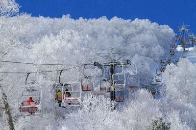 最大900円割引】車山高原SKYPARKスキー場 リフト割引券