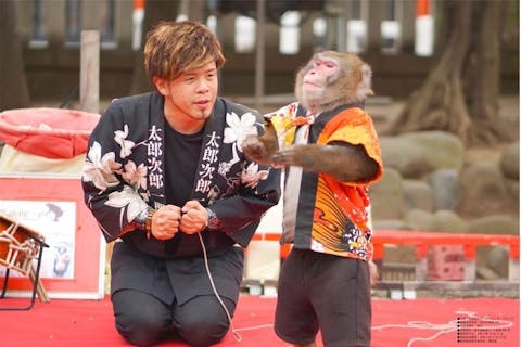 【Shiga Kogen Mountain Resort Presents】MONKEY SHOW