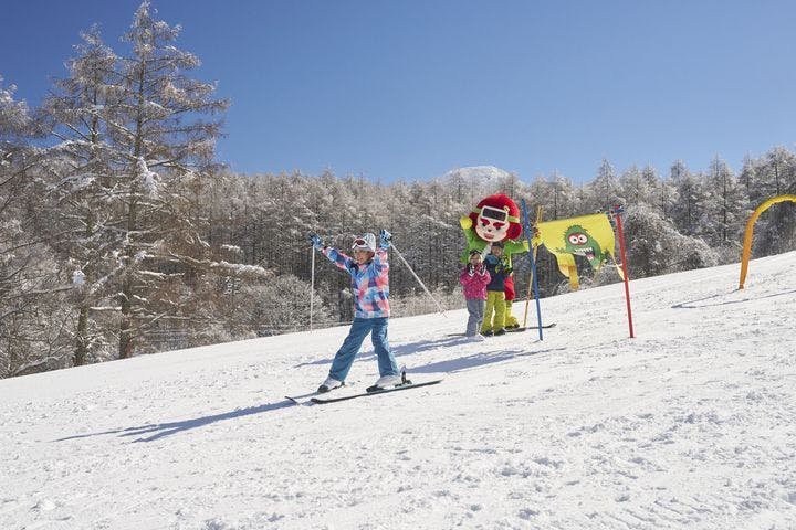 蓼科・白樺湖・車山・女神湖・姫木平、スノーボード、いつでも、1人の検索結果（全1件）｜アソビュー！